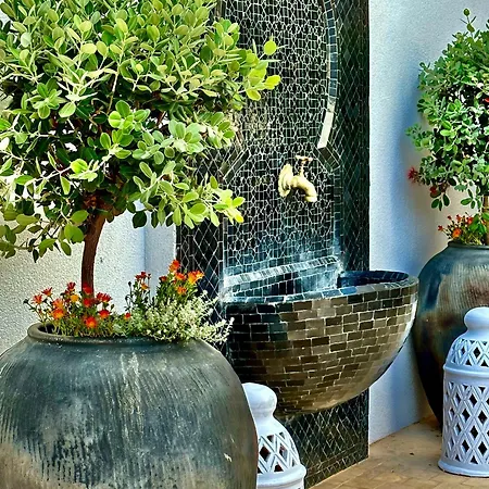 Апартхотел Casa De Oro Lujo 4*